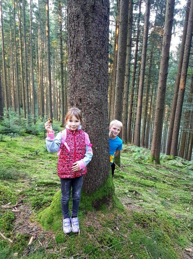 Gemuetliches Haus Im Herzen Des Schwarzwaldes Fuer Bis Zu 9 Personen Elzach Eksteriør billede