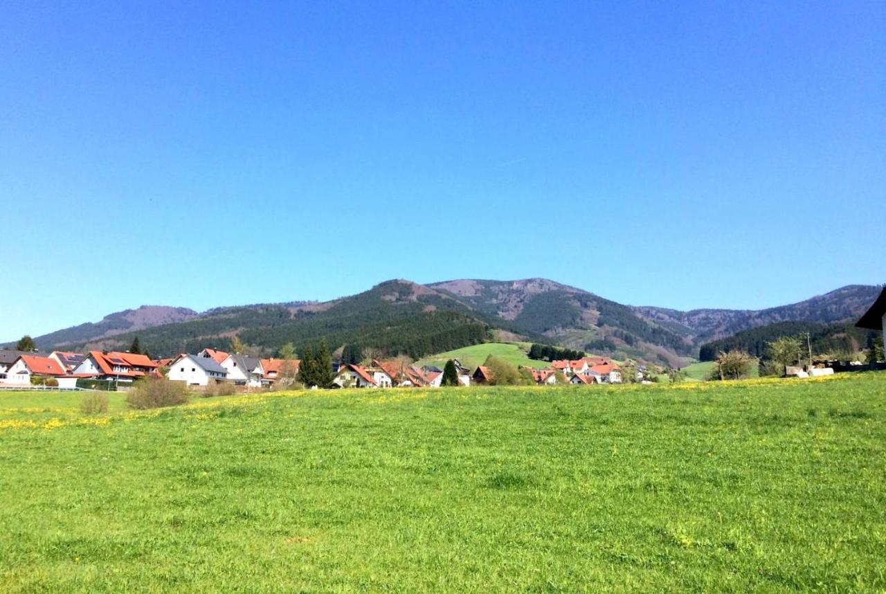 Gemuetliches Haus Im Herzen Des Schwarzwaldes Fuer Bis Zu 9 Personen Elzach Eksteriør billede